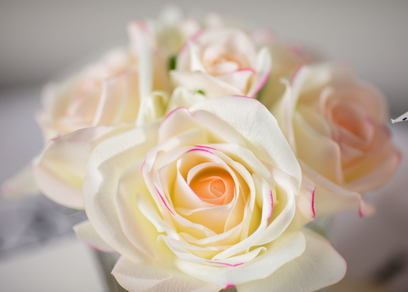 COTE NOIRE Natural Touch Roses - Pink Blush, Clear