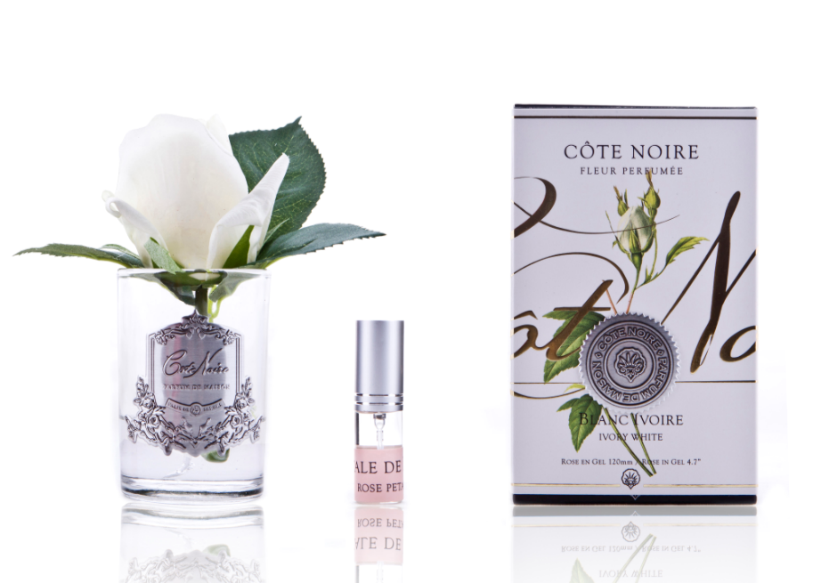 COTE NOIRE Natural Rose Bud - Ivory White